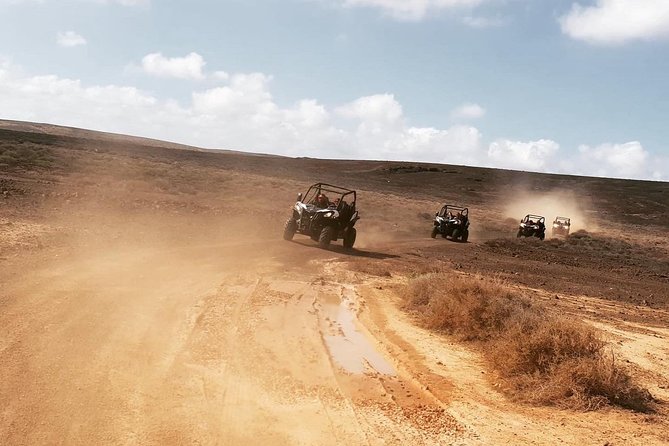 Buggy 3h Guided Tour of the North of Lanzarote - Cancellation Policy
