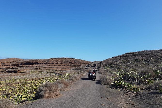 Buggy 3h Guided Tour of the North of Lanzarote - Traveler Photos and Reviews