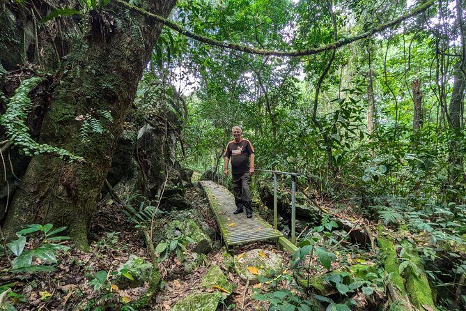 Buggy Adventure at Dominican Countryside - Who Should Consider This Tour?