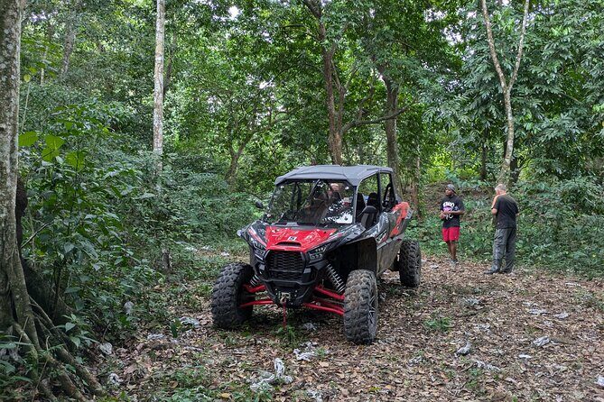 Buggy Adventure at Dominican Countryside - FAQ