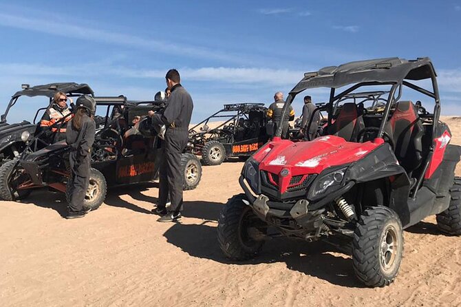 Buggy Adventure Half Day Experience - Pricing and Booking Information