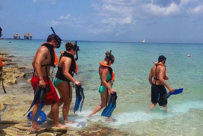 Buggy Adventure in Cozumel + Transportation from Cancún - Why This Tour Is a Great Choice