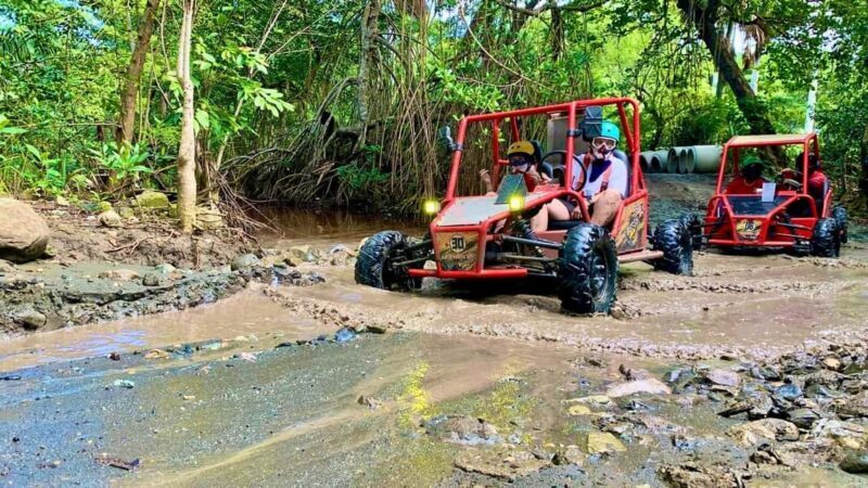 Buggy Adventure in Puerto Plata - Who Should Consider This Tour?