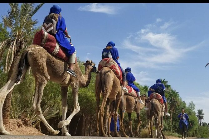 Buggy and Camel Halfday in Marrakesh - Tour Highlights