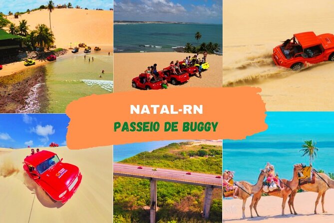 Buggy Day Trip Through Genipabu and the North Coast. - Buggy Ride Adventure