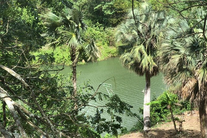 Buggy Discovery of the Sugar Cane Fields and Much More in Small Group - Authenticity Check