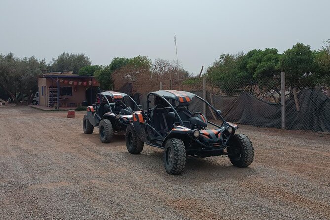 Buggy Excursion in the Desert of the Palm Grove of Marrakech - Safety Precautions and Equipment