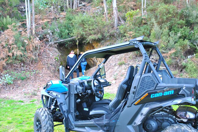 Buggy Experience at Arouca Geopark - Activity Details