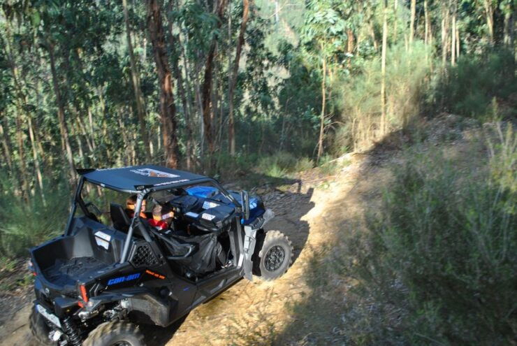 Buggy Experiences - Overview of Buggy Experiences