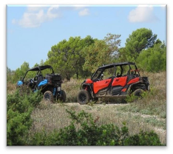 BUGGY FAMILY SAFARI 2 & 4 H - Pricing and Booking Details