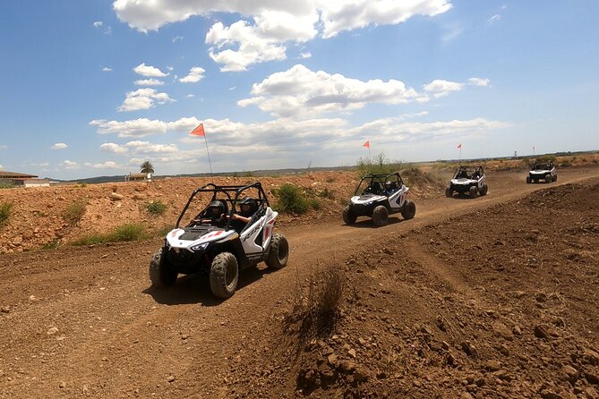 Buggy for Children in Mallorca - What to Expect During the Activity