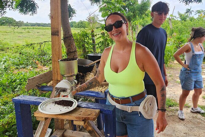 Buggy, horse and plantation ranch - Good To Know