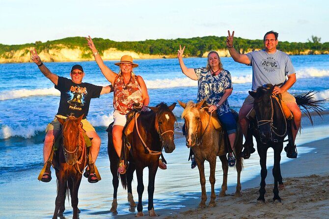 Buggy, horse and plantation ranch - FAQ