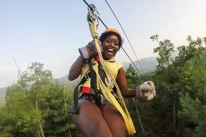 Buggy Horses and Zip Line from Punta Cana with Lunch Included - Good To Know