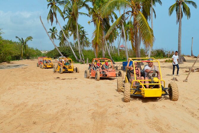 Buggy in Punta Cana Cenotes, Beach and Adventure - Pricing and Inclusions