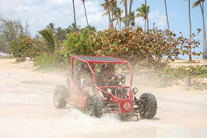 Buggy Off-Road Experience Punta Cana - Experience Highlights in Punta Cana