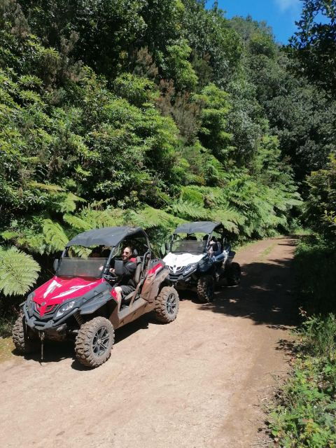 Buggy Off-Road Madeira - Cancellation Policy