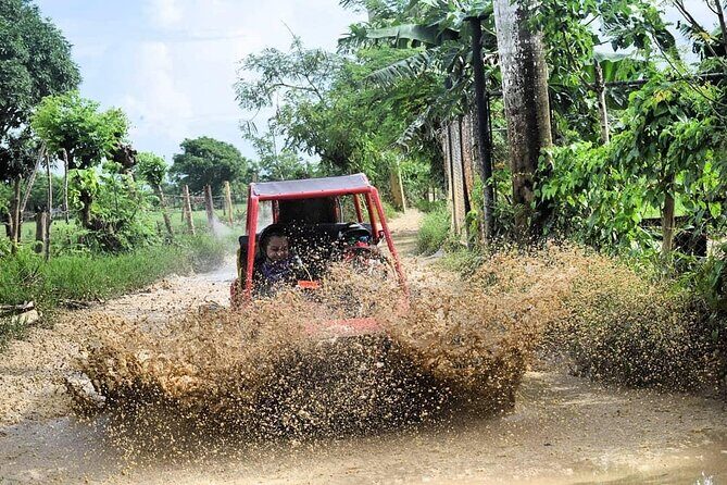 Buggy Off-Roading with Chocolate and Coffee Tasting in Punta Cana - The Sum Up