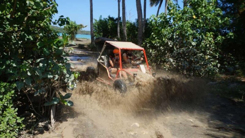 Buggy or ATV Ride, Swimming, Cenote Macao Beach Punta cana - Practical Tips for Travelers