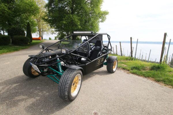Buggy Rental Highlight at Lake of Constanz - Exploring Lake Constance