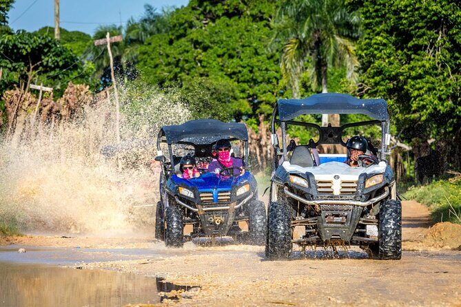 Buggy Ride and Taino Cave Guided Tour in Punta Cana - The Sum Up