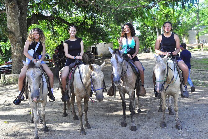 Buggy Ride, Horseback, Zipline,Eco Farm,Macao Beach - Who Is This Tour Best For?