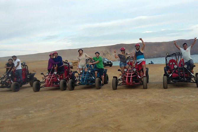 Buggy Ride in Paracas National Reserve - Overview of the Buggy Ride
