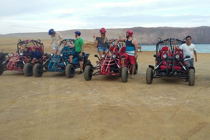 Buggy Ride in Paracas National Reserve - Meeting and Pickup Details