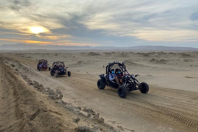 Buggy Ride in Paracas National Reserve - Additional Information and Requirements