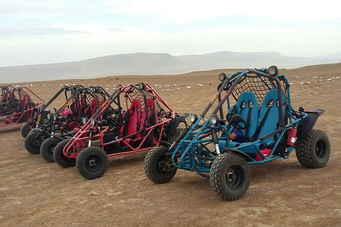 Buggy Ride in Paracas National Reserve - Common Questions
