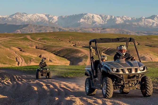 Buggy Ride in the Desert - Reviews and Recommendations