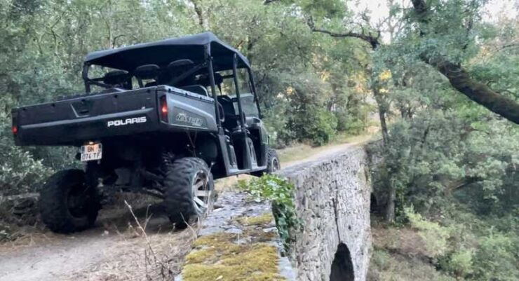 Buggy Ride - Experience Highlights