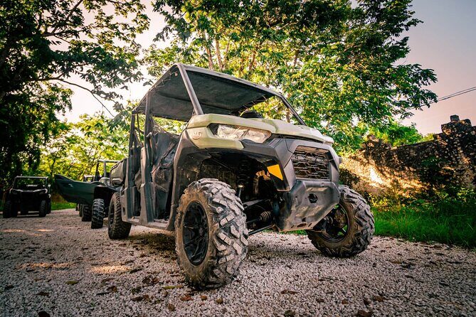 Buggy Ride through Playa del Carmen Tour - Good To Know