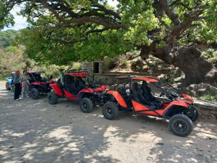 Buggy Safari Half Day 4 Hours 4 Hours ( Hersonissos -Malia) - Good To Know