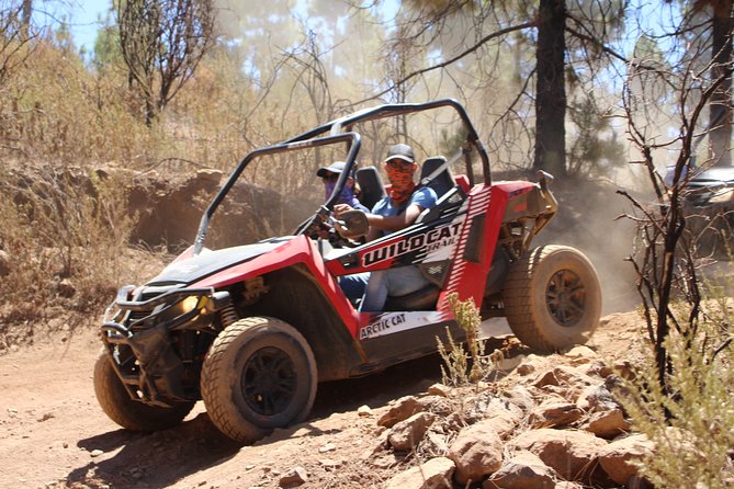 Buggy Safari Teide National Park - Cancellation Policy and Refunds