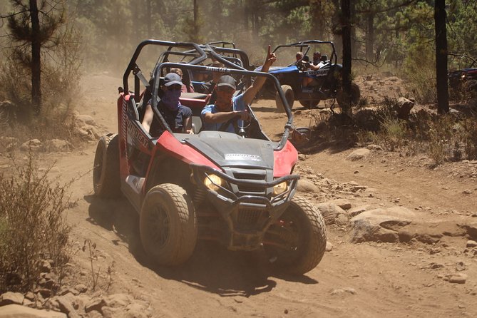 Buggy Safari Teide National Park - Reviews and Ratings