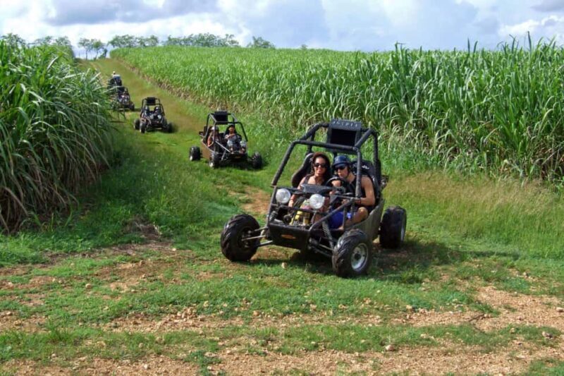 Buggy sunset - Full day - Small group - What to Expect from the Full-Day Buggy Tour  