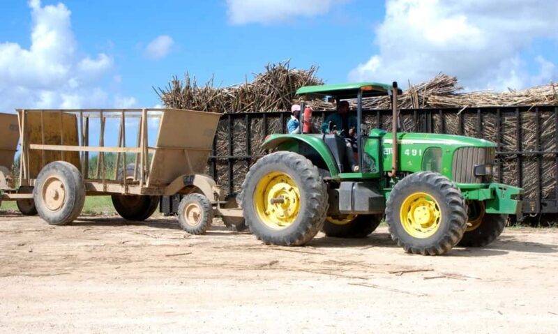 Buggy sunset - Full day - Small group - Practical Details and Tips  