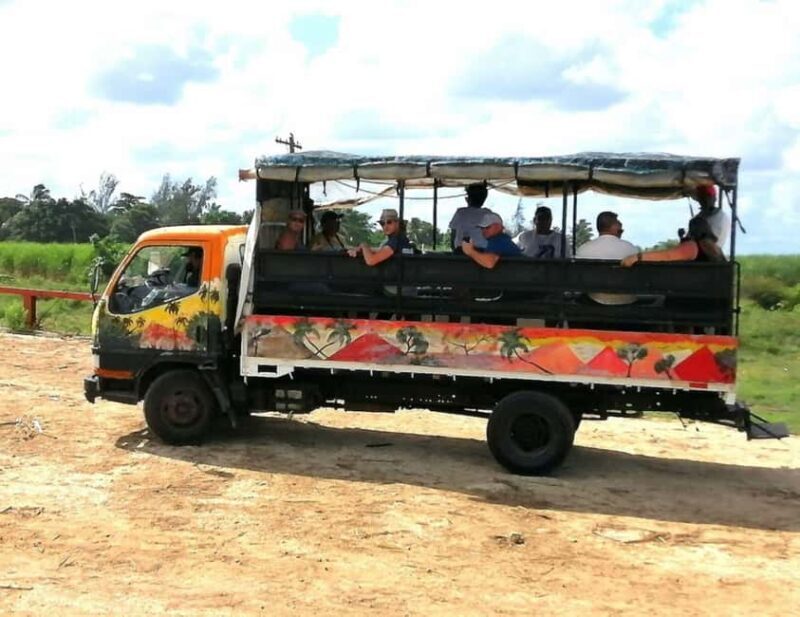 Buggy sunset - Full day - Small group - The Authentic Value of this Tour  