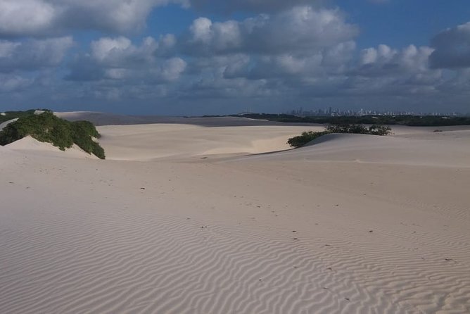 Buggy Tour Along the North Coast (Genipabu) - Tour Overview