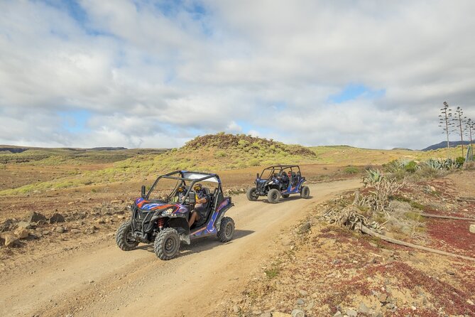 Buggy Tour at Anfi Beach - Frequently Asked Questions