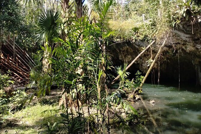 Buggy Tour, ATV Ride and Visit to Jade cavern in Cozumel - Practical Details and Tips