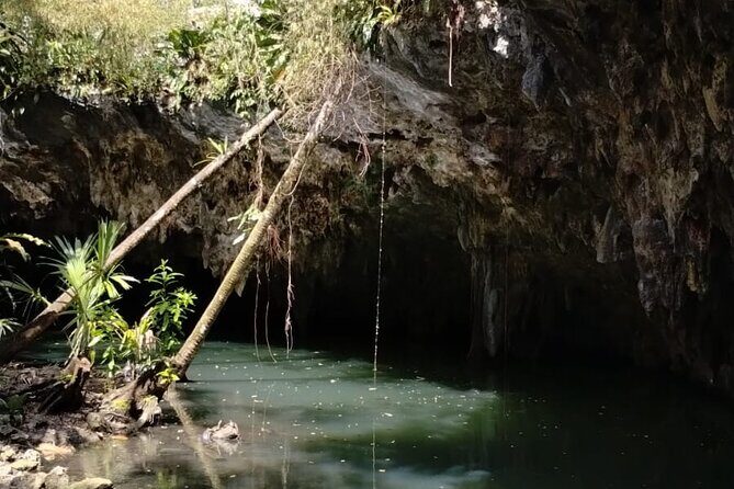 Buggy Tour, ATV Ride and Visit to Jade cavern in Cozumel - Final Thoughts