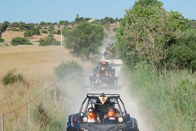 Buggy Tour: East Area of Mallorca - Customer Review