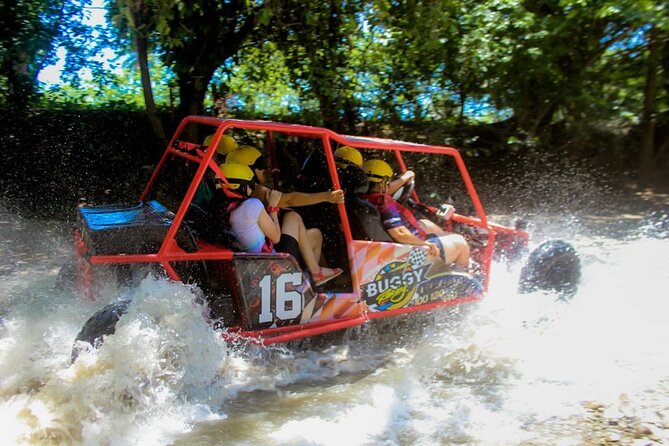 Buggy Tour Excursion in Taino Bay and Amber Cove Port - Tour Highlights