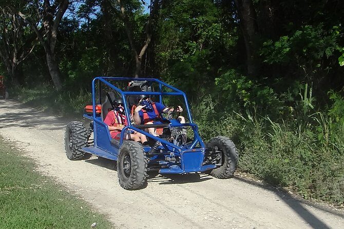 Buggy Tour from Sosua - Who Will Love This Tour?  