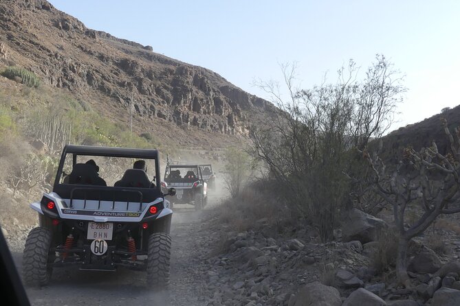 Buggy Tour in Gran Canaria - Pickup and Return Details and Requirements