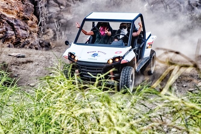 Buggy Tour of 2 Hours in the Afternoon With Transfers Only South Zone - Tour Details