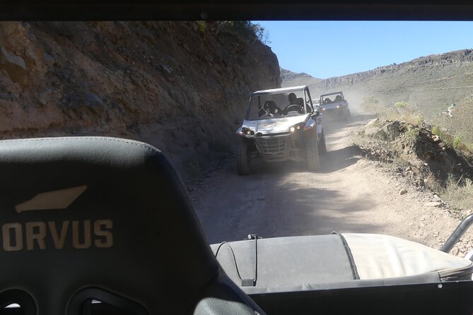 Buggy Tour of 2 Hours in the Afternoon With Transfers Only South Zone - What To Expect