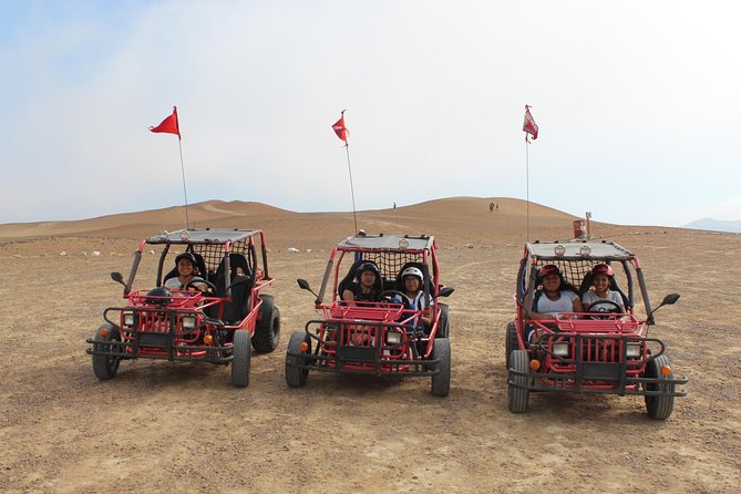 Buggy Tour Paracas National Reserve - Tour Overview